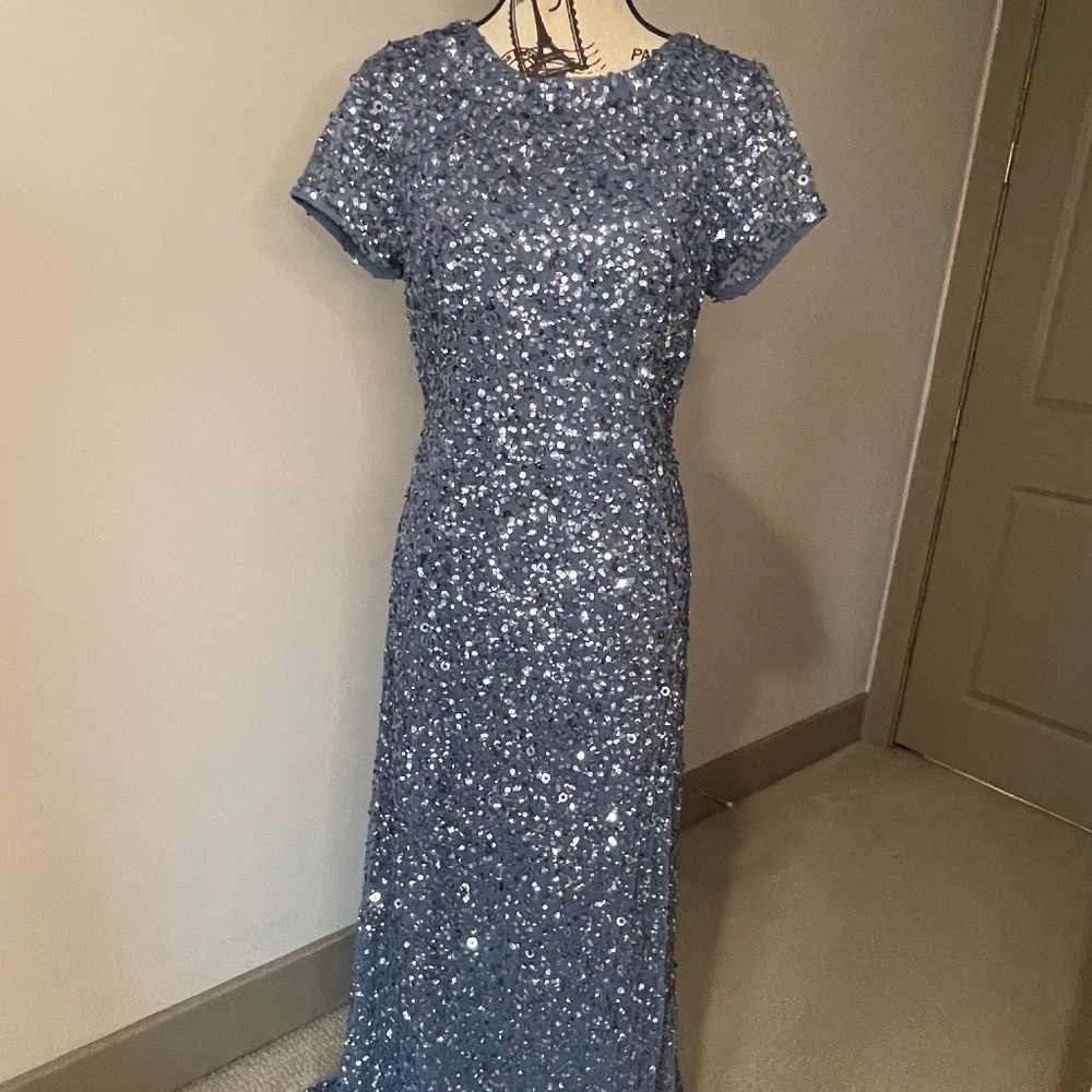 Adrianna Papell Evening Gown